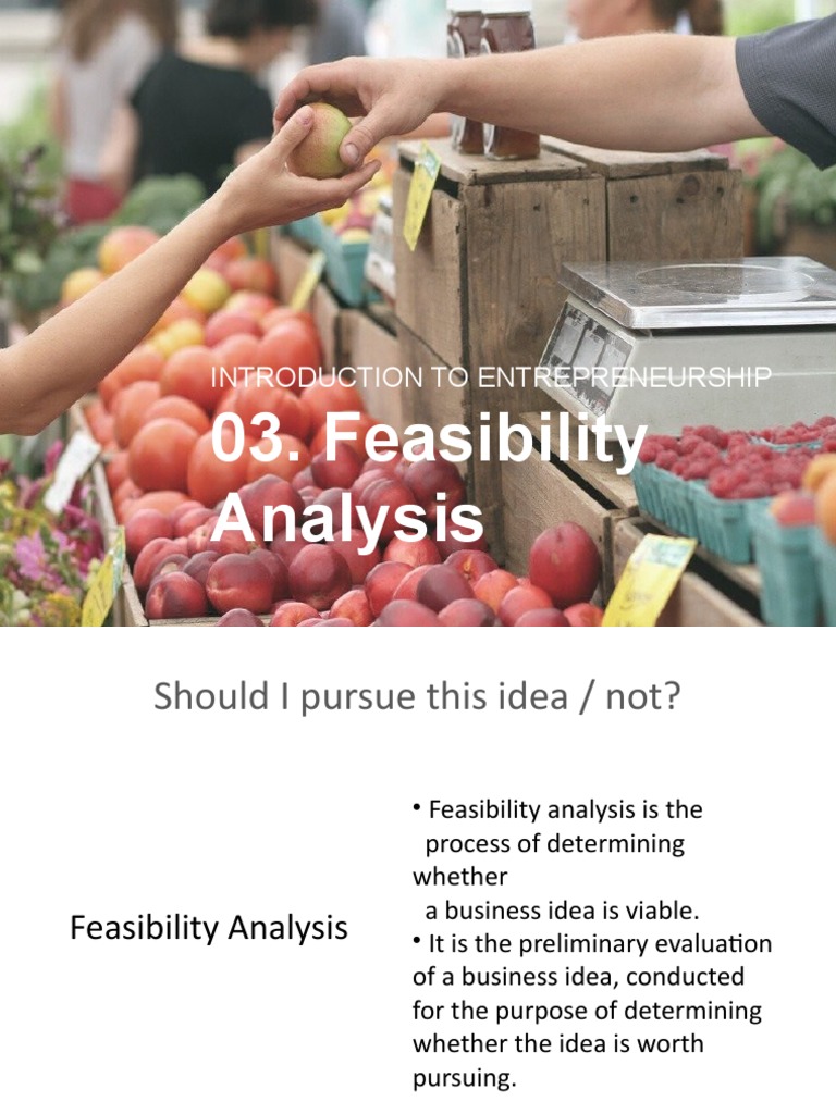 Feasibility Analysis in Entrepreneurship | PDF | Entrepreneurship ...