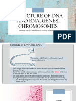 3 - Structure of DNA, RNA, Genes