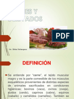 Carnes y Derivados