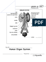 Grade 08 - (9) - HUman Organ Systems