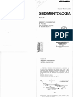 libro-sedimentologia-parte-III