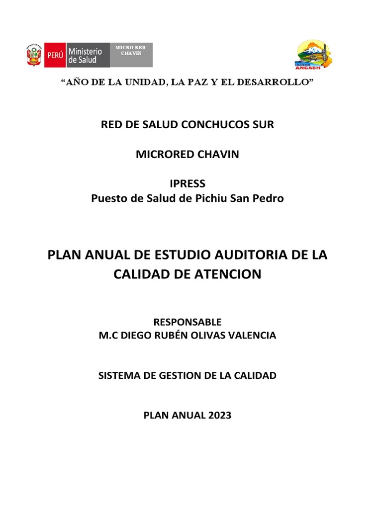 Plan Anual de Auditoría en Salud 2023 | PDF | Auditoría | Calidad ...