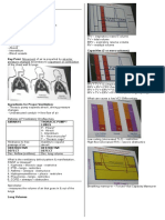 Patrones Espirometricos Con Imagenes