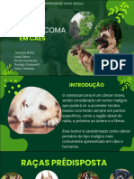 Osteossarcoma em cães: raças, sinais e tratamentos