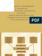 Metacognición, Autorregulación y Transferencia