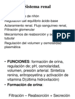 Filtracion Renal