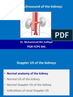 Dopple Ultrasound of The Kidneys