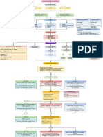 Cad. Cetoacidosis Diabético