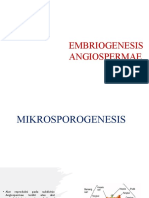 Embriogenesis Angiospermae