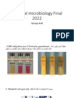 Practical Microbiology Final 2022: Group A+B