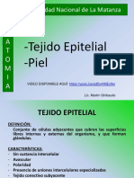 Tejido epitelial y glándulas