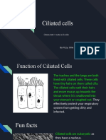 Ciliated Cells: Green Text Note in Books