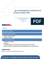 Gestión Del Riesgo en Emergencias y Desastres en El Sector Salud, Chile