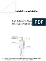 Canlılıkta Makro Moleküller.2022-2023.Dis