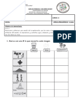 Guía de Trabajo Seres Vivos