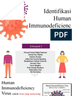 Identifikasi Human Immunodeficienc y Virus