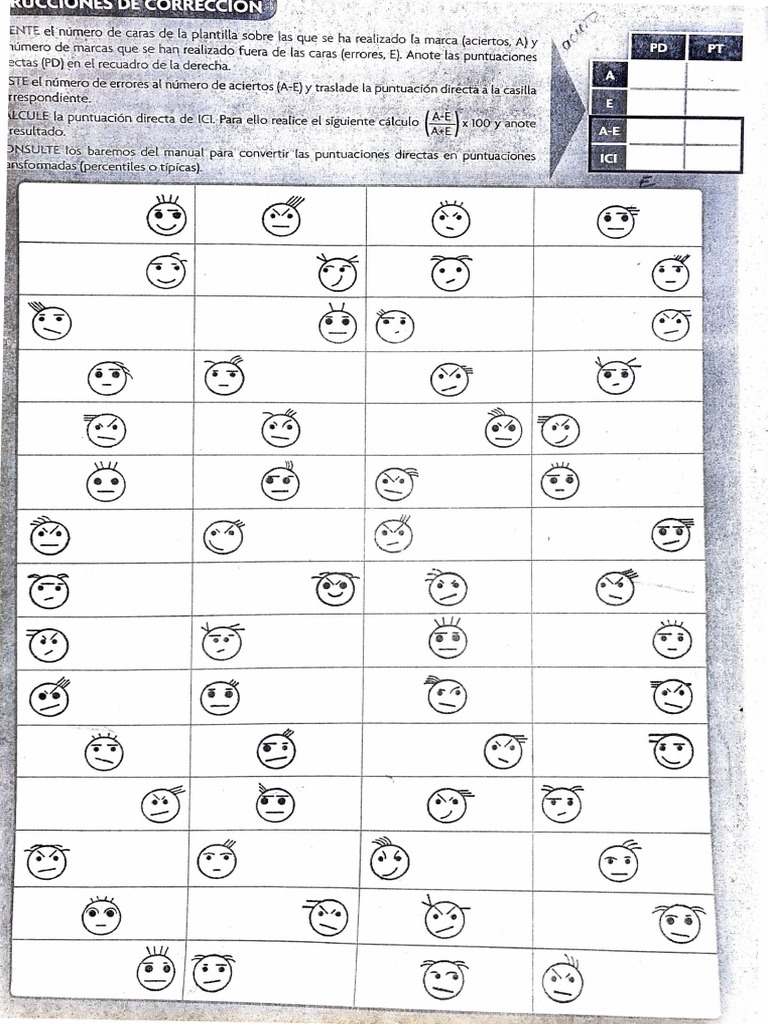 Correcci n caras pdf
