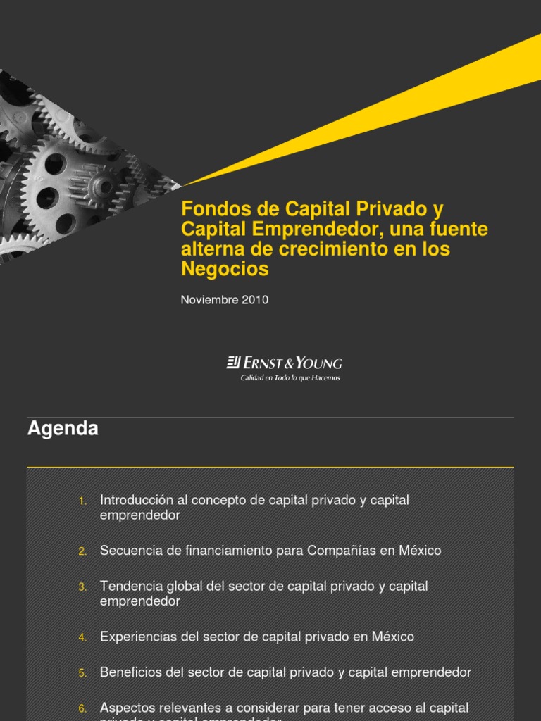 Nov 2010 Cultura | PDF | Capital de riesgo | Finanzas corporativas