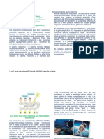 Sistema endocrino y regulación homeostática