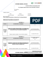 Informe General de Estadía 2022-2