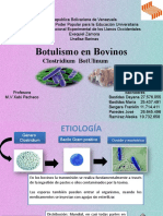 Botulismo en Bovinos: Clostridium Botulinum