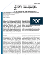 VPS35 Neurodevelopment