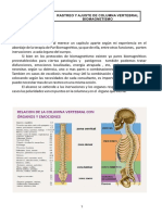 Rastreo Columna Vertebral Mariana Del Hoyo