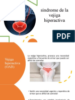 Síndrome de La Vejiga Hiperactiva