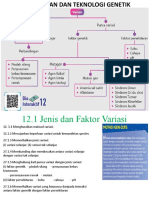 Bio T5 B12 Variasi