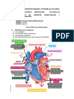 Mora Paula - Clase Práctica de Cardiovascular 22-23