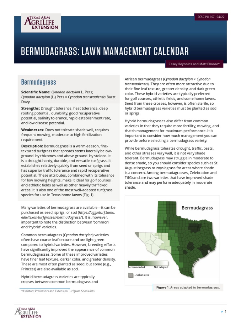 Bermudagrass Lawn Management Calendar PDF Fertilizer Lawn