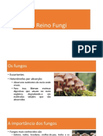 Reino Fungi: Características e Importância