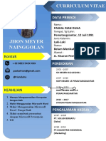 Jhon Meyer Nainggolan: Curriculum Vitae