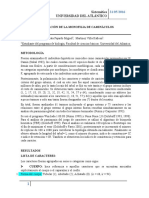 Evaluación de la monofilia de camináculos mediante análisis de parsimonia