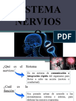 Sistema Nervios O