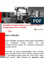 Kurva Bradley - Identifikasi Budaya K3