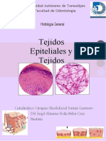 Tejidos Epiteliales y Tejidos: Histología General