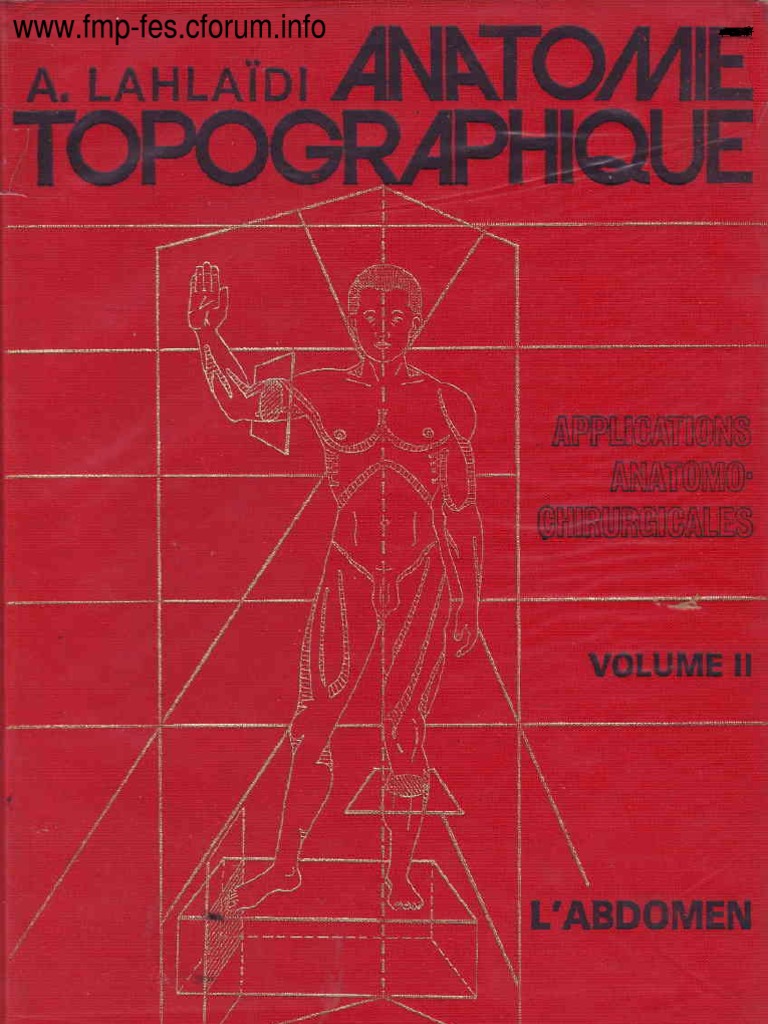 anatomie-topographique-de-l-abdomen-pdf-vert-bre-colonne-vert-brale