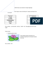 Cicak - Autotomi Landak Kalajengking - Duri Kadal Ular - Bisa Dan Sengat