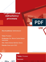 Diseño Organizacional Estructura y Procesos