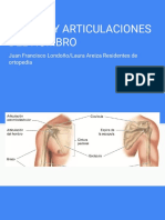 Huesos y articulaciones del Hombro