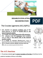 ACL Reconstruction 2020