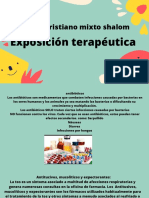 Colegio Cristiano Mixto Shalom: Exposición Terapéutica