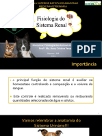 Fisiologia Do Sistema Renal: Disciplina: Fisiologia Dos Animais Domésticos II Prof . Ma. Anny Cristina Veras Leite