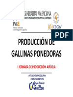 Producción de Gallinas Ponedoras