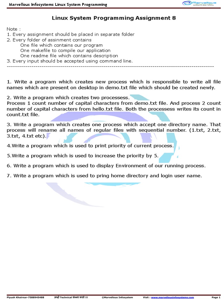 Linux System Programming Assignment 8 | PDF