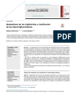 Metabolismo de Los Triglicéridos y Clasificación de Las Hipertrigliceridemias - S0214916821000371
