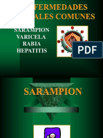Sarampion Varicela Rabia Hepatitis