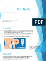 Fundamentos - Colostomia 2