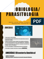 Microbiologia Ameba - Giardia